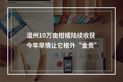 温州10万亩柑橘陆续收获 今年旱情让它格外“金贵”