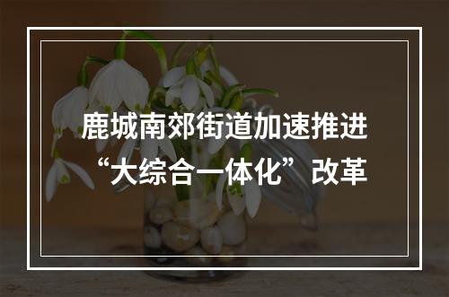 鹿城南郊街道加速推进“大综合一体化”改革
