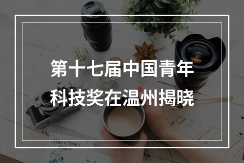 第十七届中国青年科技奖在温州揭晓