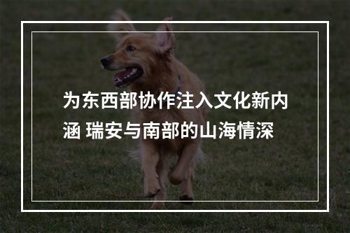 为东西部协作注入文化新内涵 瑞安与南部的山海情深