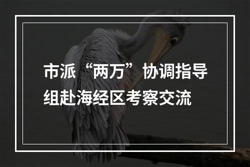 市派“两万”协调指导组赴海经区考察交流