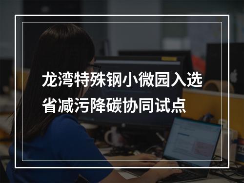 龙湾特殊钢小微园入选省减污降碳协同试点
