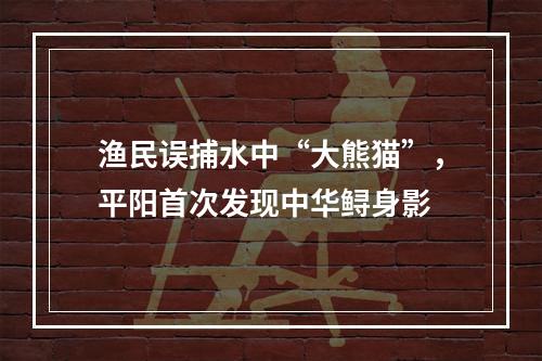 渔民误捕水中“大熊猫”，平阳首次发现中华鲟身影