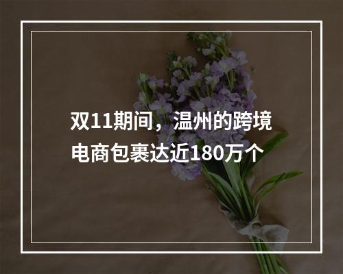 双11期间，温州的跨境电商包裹达近180万个