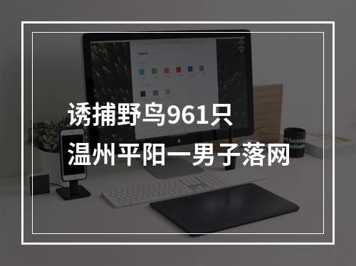 诱捕野鸟961只 温州平阳一男子落网