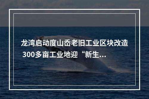 龙湾启动度山岙老旧工业区块改造 300多亩工业地迎“新生”