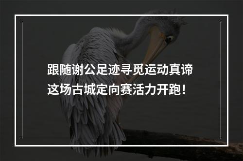 跟随谢公足迹寻觅运动真谛 这场古城定向赛活力开跑！