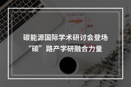 碳能源国际学术研讨会登场 “碳”路产学研融合力量