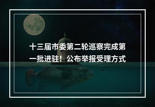 十三届市委第二轮巡察完成第一批进驻！公布举报受理方式