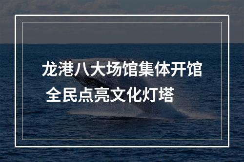 龙港八大场馆集体开馆 全民点亮文化灯塔