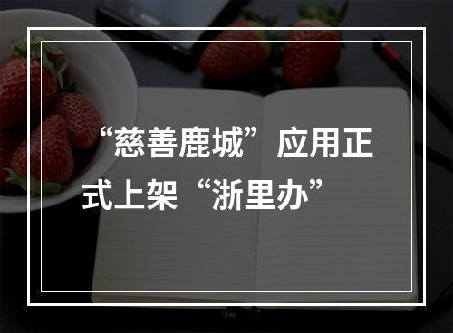 “慈善鹿城”应用正式上架“浙里办”