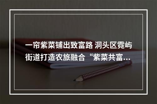一帘紫菜铺出致富路 洞头区霓屿街道打造农旅融合“紫菜共富工坊”