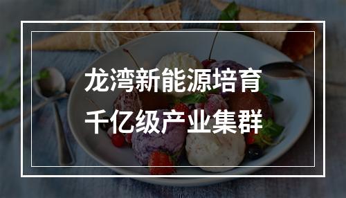龙湾新能源培育千亿级产业集群