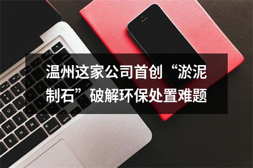 温州这家公司首创“淤泥制石”破解环保处置难题