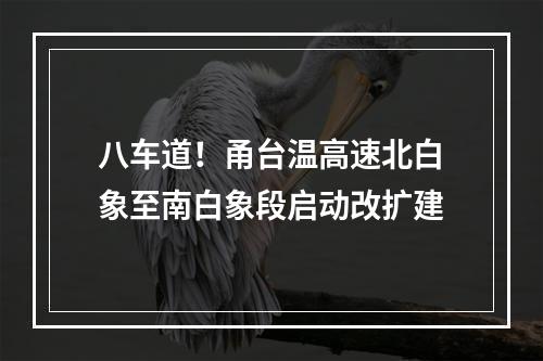 八车道！甬台温高速北白象至南白象段启动改扩建