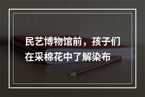 民艺博物馆前，孩子们在采棉花中了解染布