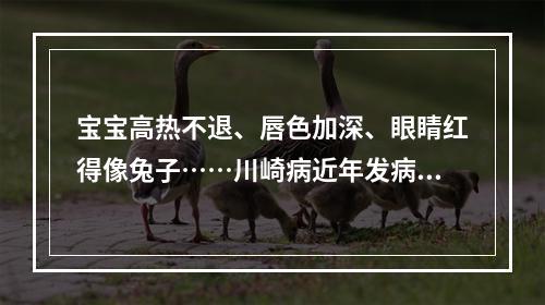宝宝高热不退、唇色加深、眼睛红得像兔子……川崎病近年发病率明显上升
