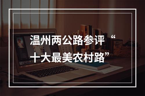 温州两公路参评“十大最美农村路”