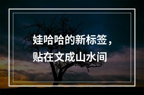 娃哈哈的新标签，贴在文成山水间