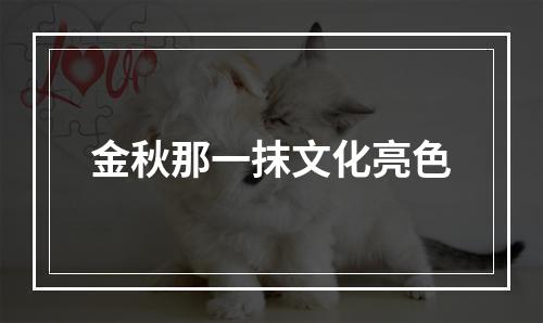 金秋那一抹文化亮色