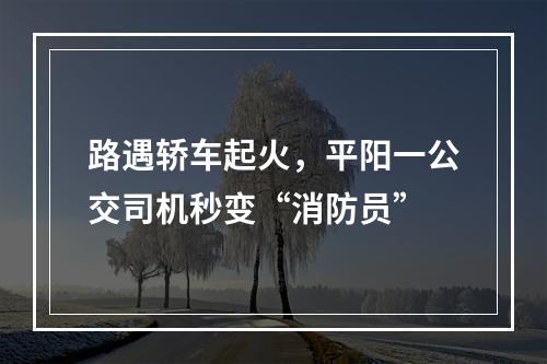 路遇轿车起火，平阳一公交司机秒变“消防员”