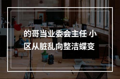 的哥当业委会主任 小区从脏乱向整洁蝶变
