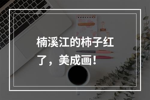 楠溪江的柿子红了，美成画！