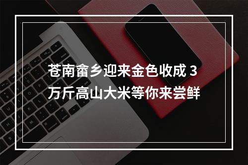 苍南畲乡迎来金色收成 3万斤高山大米等你来尝鲜