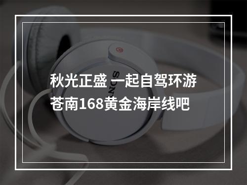 秋光正盛 一起自驾环游苍南168黄金海岸线吧