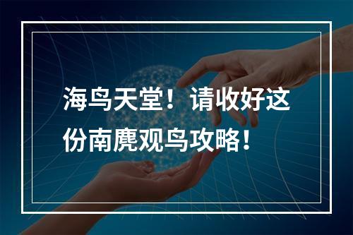 海鸟天堂！请收好这份南麂观鸟攻略！