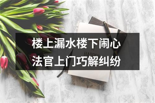 楼上漏水楼下闹心 法官上门巧解纠纷