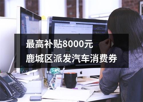 最高补贴8000元 鹿城区派发汽车消费券