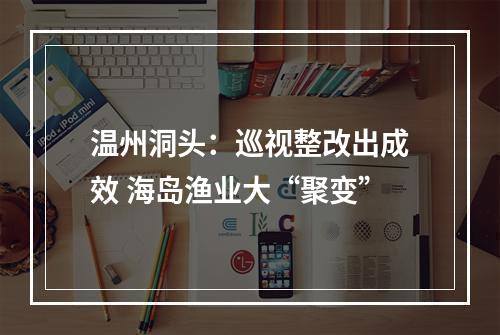 温州洞头：巡视整改出成效 海岛渔业大“聚变”