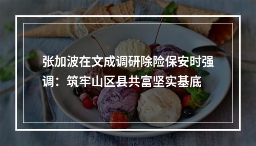 张加波在文成调研除险保安时强调：筑牢山区县共富坚实基底