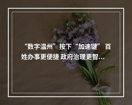 “数字温州”按下“加速键” 百姓办事更便捷 政府治理更智慧