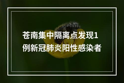 苍南集中隔离点发现1例新冠肺炎阳性感染者