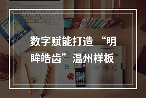 数字赋能打造 “明眸皓齿”温州样板
