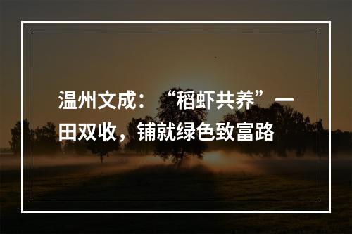 温州文成：“稻虾共养”一田双收，铺就绿色致富路