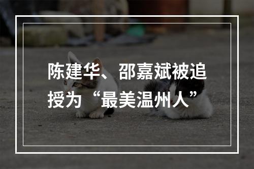 陈建华、邵嘉斌被追授为“最美温州人”
