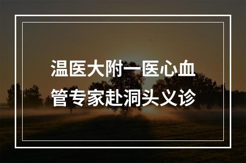 温医大附一医心血管专家赴洞头义诊
