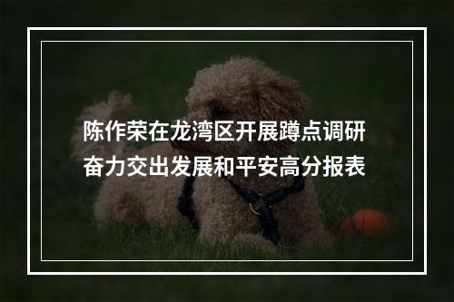 陈作荣在龙湾区开展蹲点调研 奋力交出发展和平安高分报表