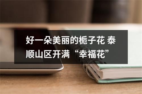 好一朵美丽的栀子花 泰顺山区开满“幸福花”