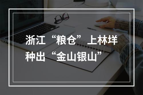 浙江“粮仓”上林垟种出“金山银山”