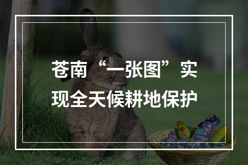 苍南“一张图”实现全天候耕地保护