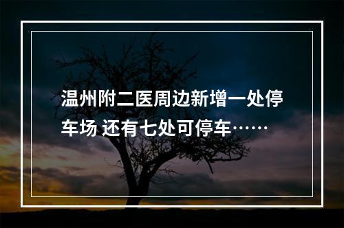 温州附二医周边新增一处停车场 还有七处可停车……