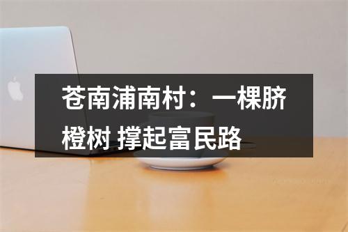 苍南浦南村：一棵脐橙树 撑起富民路