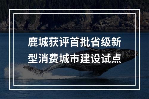 鹿城获评首批省级新型消费城市建设试点