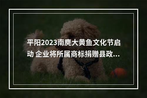 平阳2023南麂大黄鱼文化节启动 企业将所属商标捐赠县政府