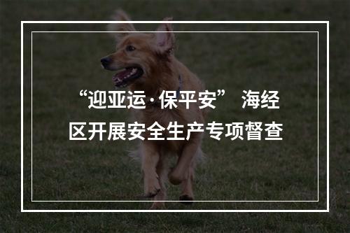 “迎亚运·保平安” 海经区开展安全生产专项督查