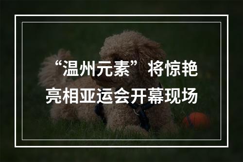 “温州元素”将惊艳亮相亚运会开幕现场